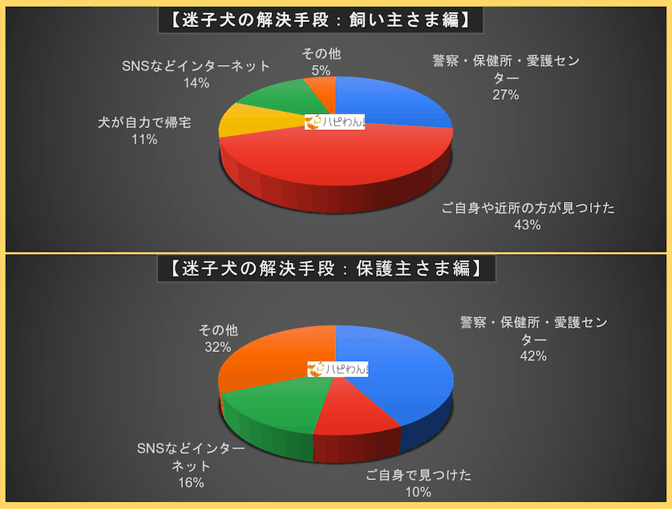 迷子犬の関連記事のタイトル画像