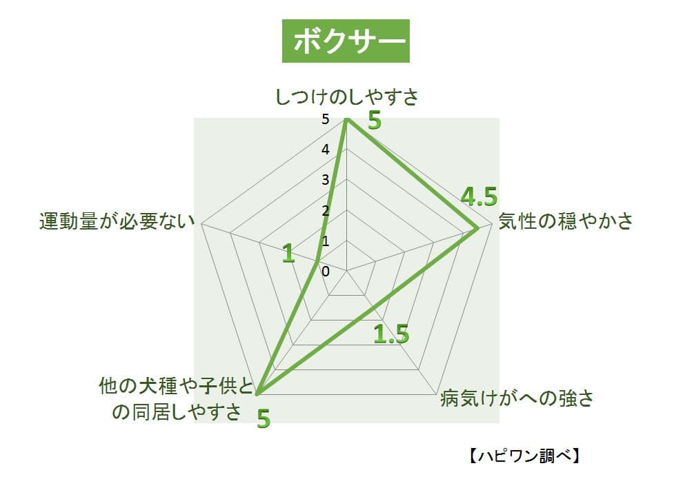 ボクサーの特徴評価グラフ