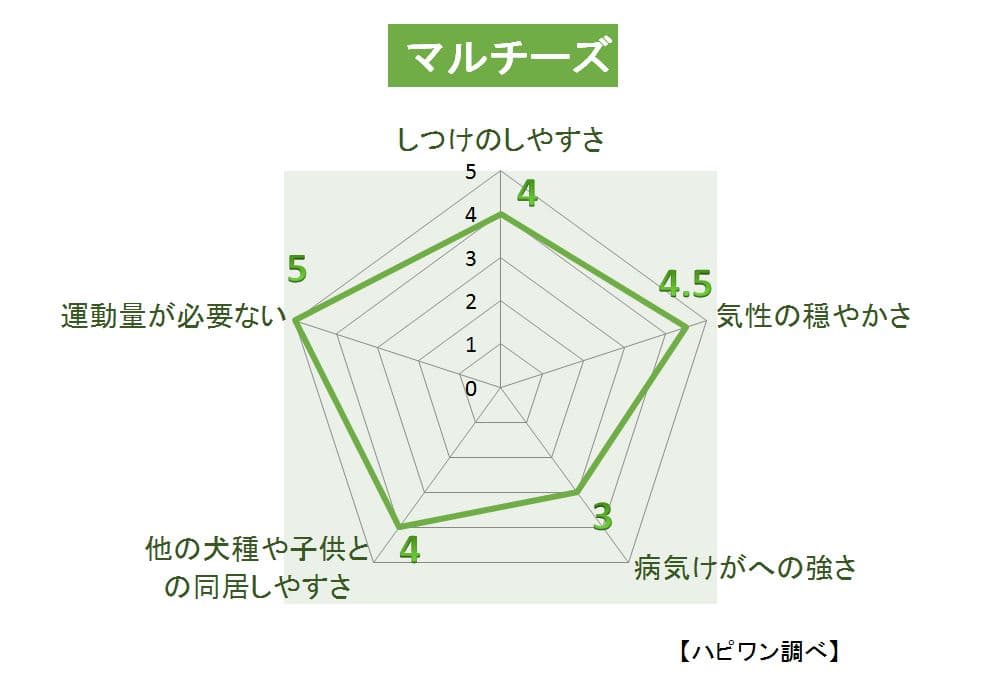 マルチーズの特徴評価グラフ