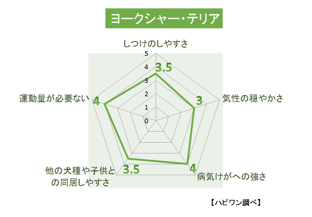 ヨークシャー・テリアの特徴評価グラフ