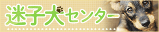 迷子犬の掲示板：迷子犬センター